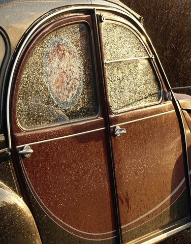 Anton Wolfpril Citroen 2CV